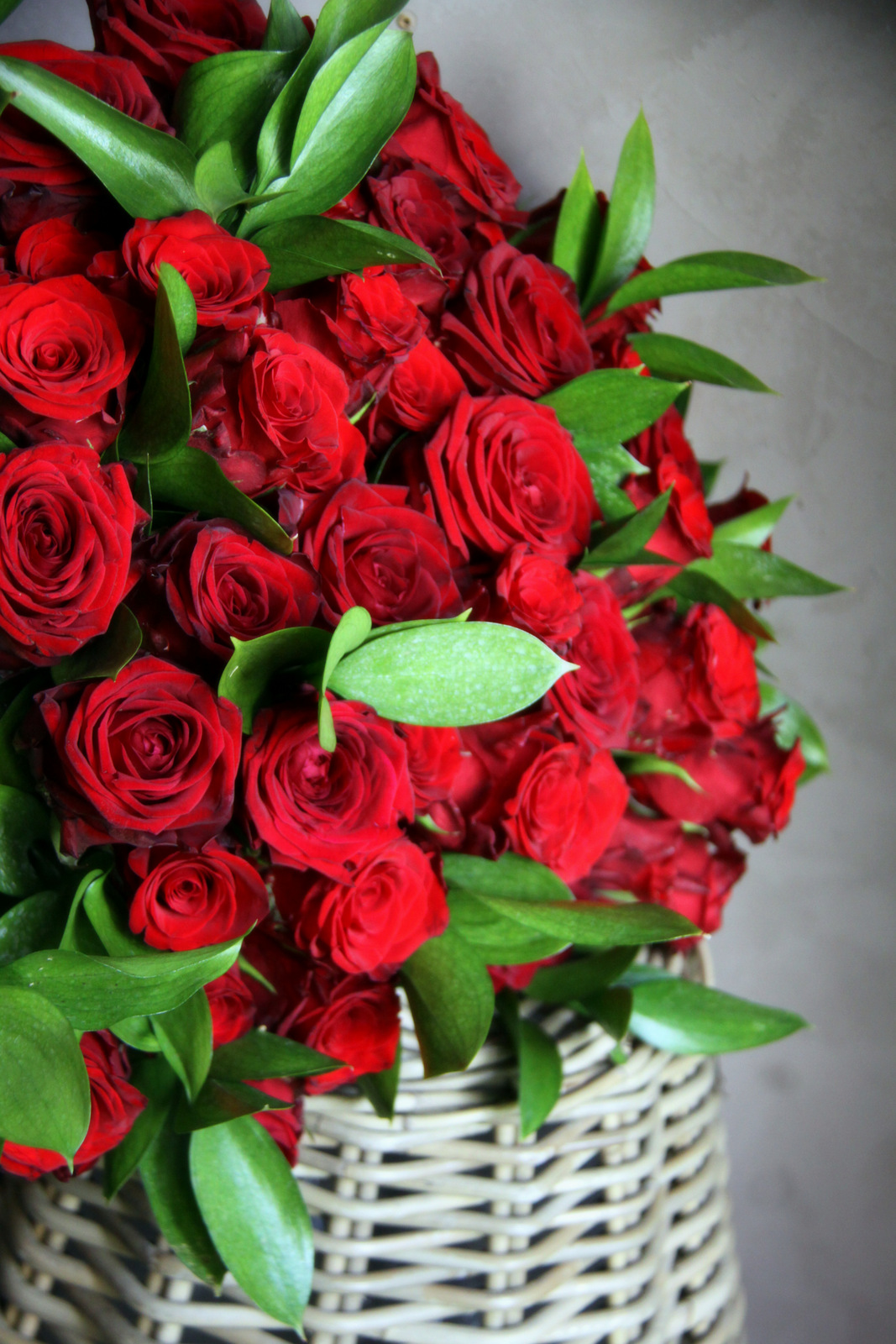 Bouquet-de-55-roses-rouge-Atelier-floral-La-Saladelle-Perpignan