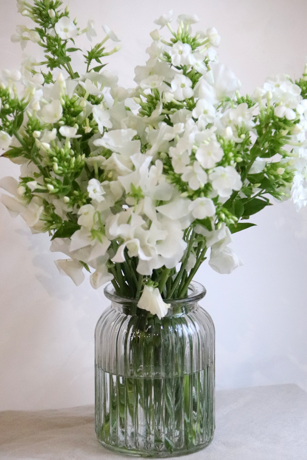 Bouquet-blanc-La-Saladelle-Atelier-floral