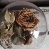Cloche-fleurs-sechees-La-Saladelle-Atelier-floral-66
